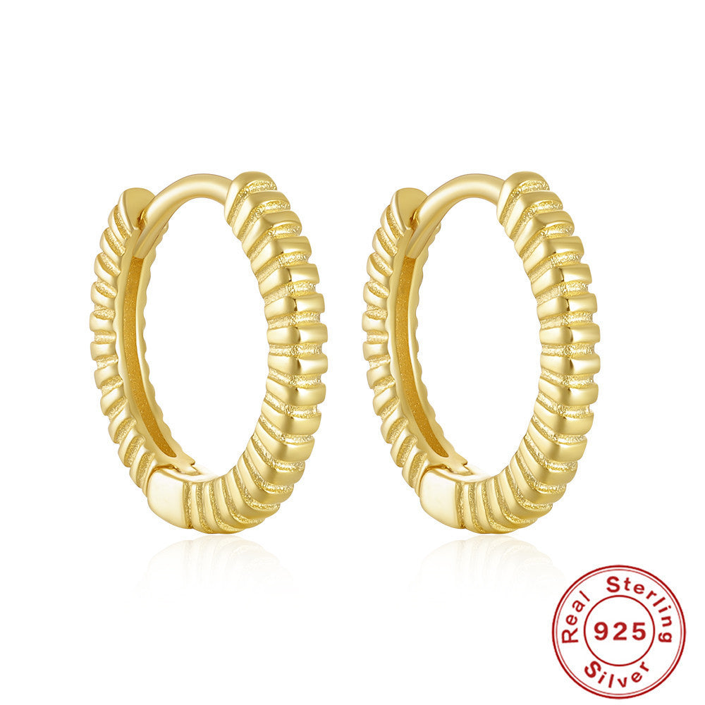 S925 Sterling Silver Zircon Stud Earrings Ornament