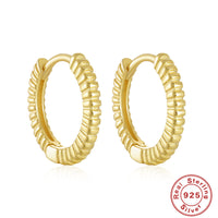 S925 Sterling Silver Zircon Stud Earrings Ornament