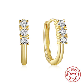 S925 Sterling Silver Zircon Stud Earrings Ornament