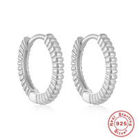 S925 Sterling Silver Zircon Stud Earrings Ornament