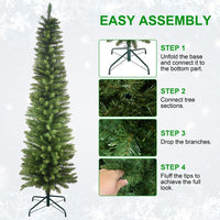 Classic Green Christmas Tree – Timeless Tradition Collection